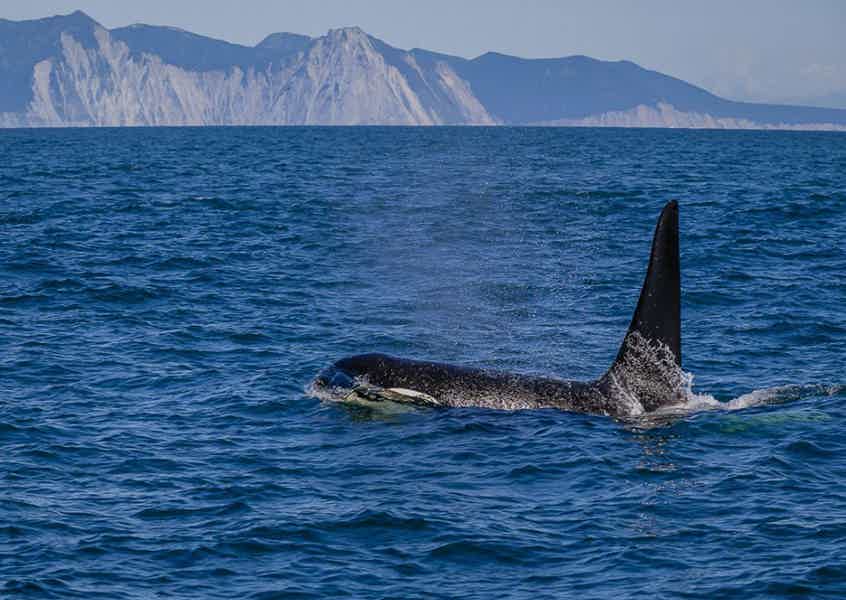 Морская прогулка к острову Старичков: морская рыбалка и крабовое сафари - фото 5