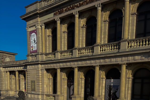 Виды Городские домовые