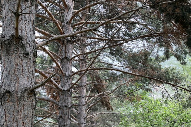 Виды Тургеньский водопад и озеро Иссык