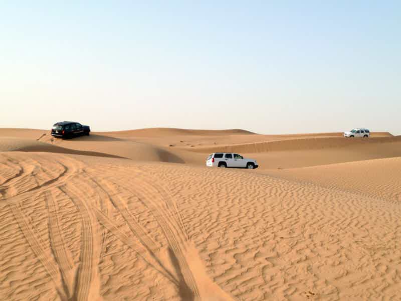 Покорить Дубай: полет на вертолете и сафари в пустыне - фото 3