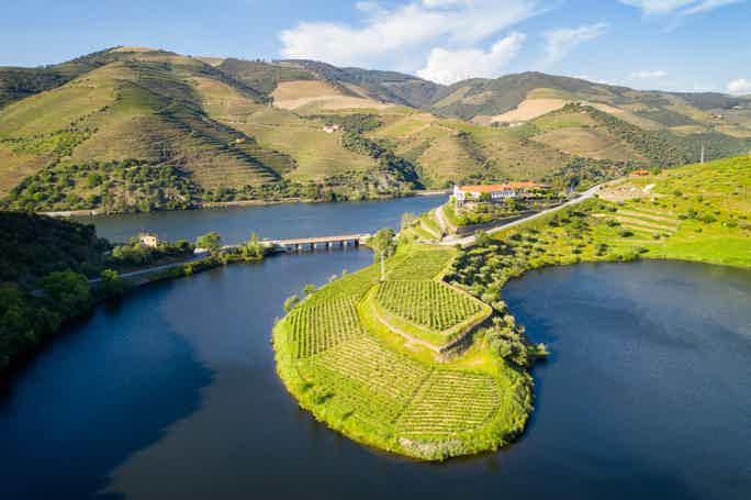 Douro Valley: Enjoy a Tour through Quinta do Tedo's Best Wineries