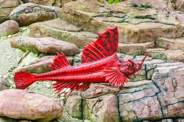 Виды Экскурсия в Приморский океанариум