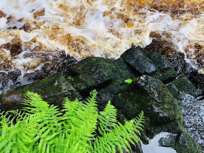 Тур Южная Карелия: Кузнечное, Куркиеки, Лахденпохья и Долина водопадов — фото 3, Санкт-Петербург | Покатаем