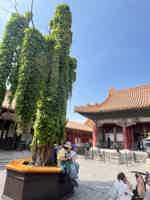 Экскурсия "Первое знакомство с Пекином за 6 часов" - фото отзыва 2