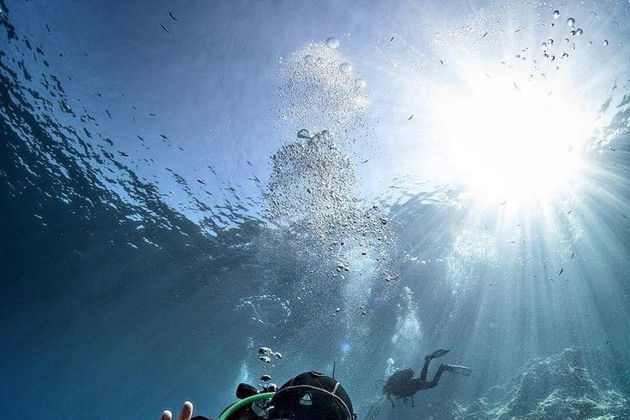 Подводные сокровища Красного моря: дайвинг в Хургаде