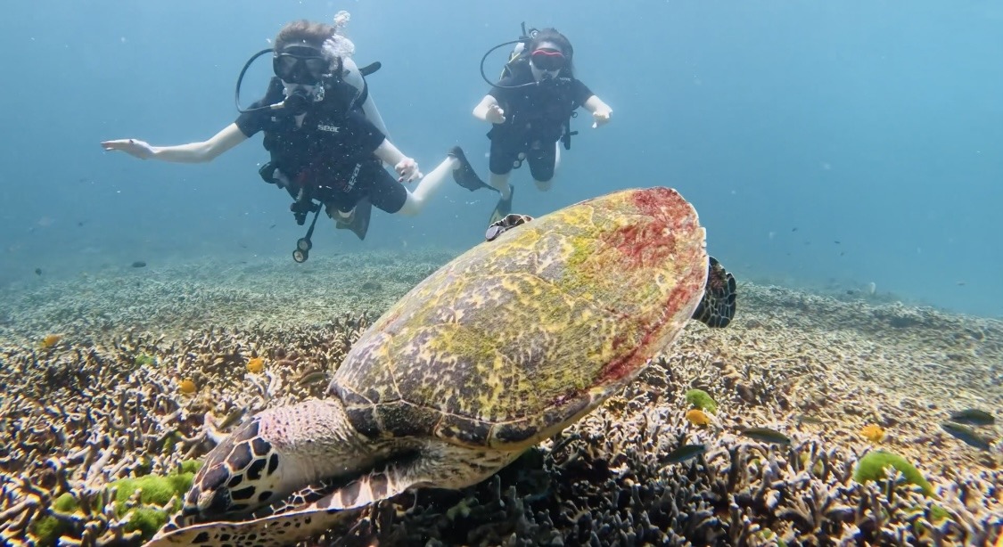 Дайвинг с индивидуальным инструктором. Andaman Diving&Travel Company