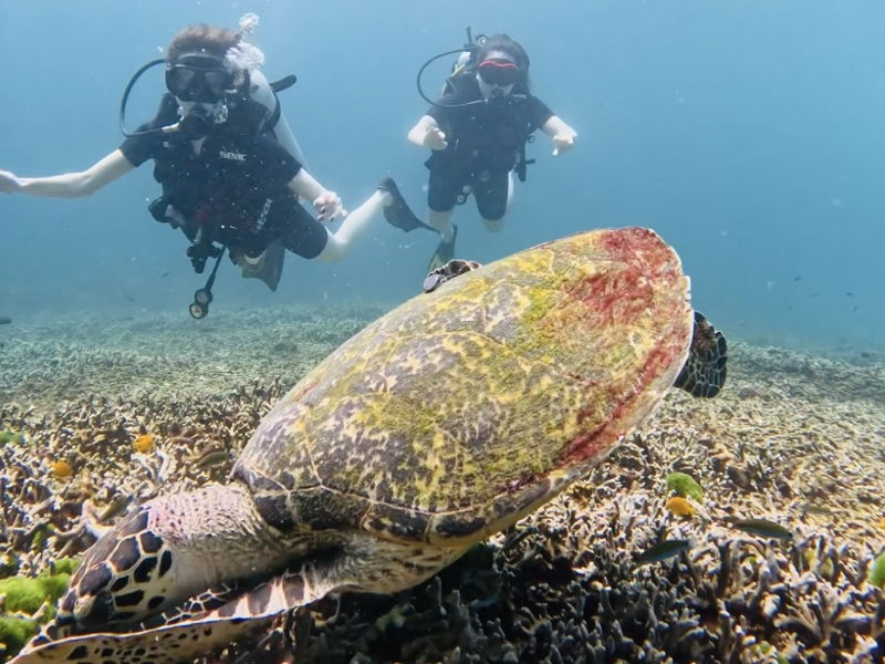 Дайвинг с индивидуальным инструктором. Andaman Diving&Travel Company - экскурсия в Пхукет, Таиланд