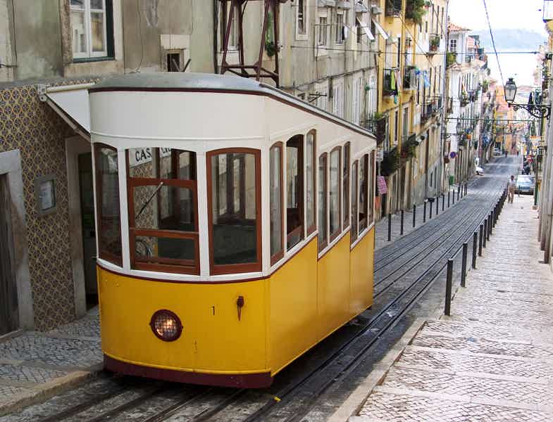 Лиссабон древний – Лиссабон новый (с посещением океанариума) - фото 6