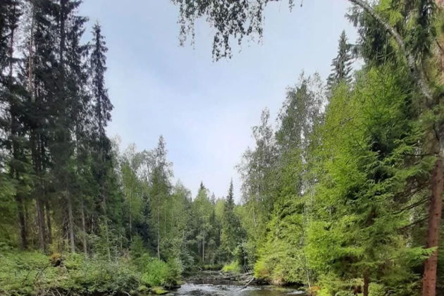 Фото к экскурсии 3 сочных дня в Карелии. Лайт