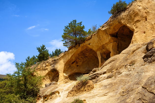 Виды Альпака-парк и Медовые водопады: уютная поездка на полдня