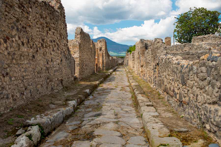 From Rome: The Ancient Pompeii and Vesuvius Volcano Full-Day Journey - photo 4