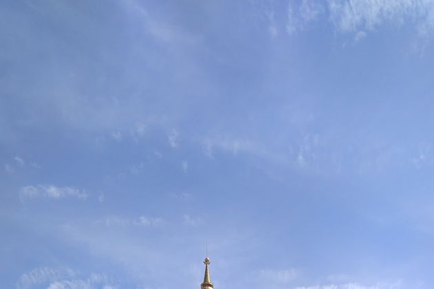 Фестиваль тюльпанов - Элиста