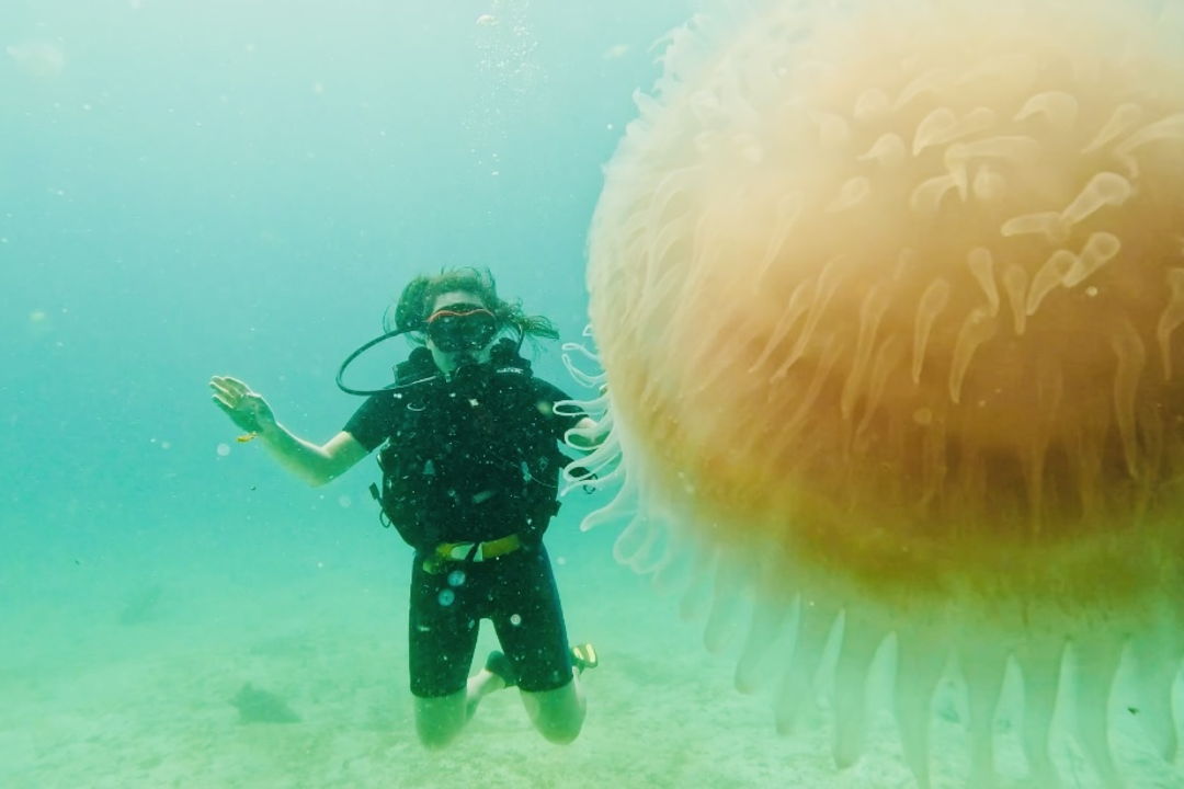 Дайвинг с индивидуальным инструктором. Andaman Diving&Travel Company — фото 7