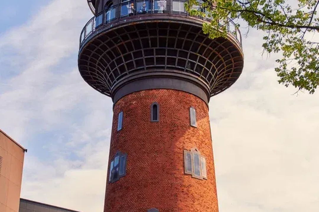 Куршская коса из Зеленоградска с дегустацией сыра и шоколада — фото 5
