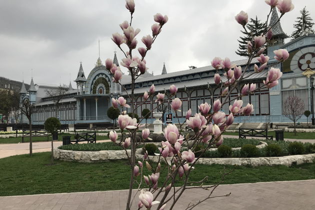 Виды Пятигорск и Железноводск — города, утопающие в лесах