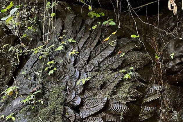 Рафтинг по самой длинной реке Бали