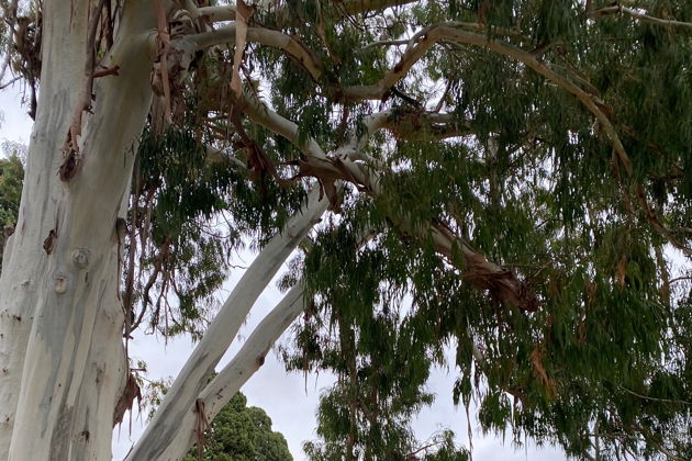 Виды Термальный источник Кындыг и старый Сухум