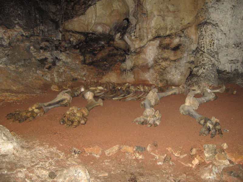 Шедевры подземного царства: пещеры горы Чатыр-Даг - фото 2