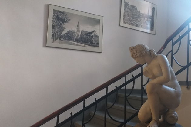 Виды Амалиенау: история в деталях