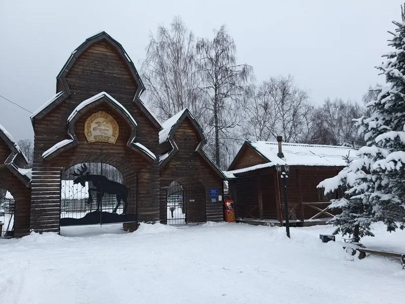 Сумароковская лосиная ферма: маленькие копыта, большие сердца — фото 7, Кострома | Покатаем