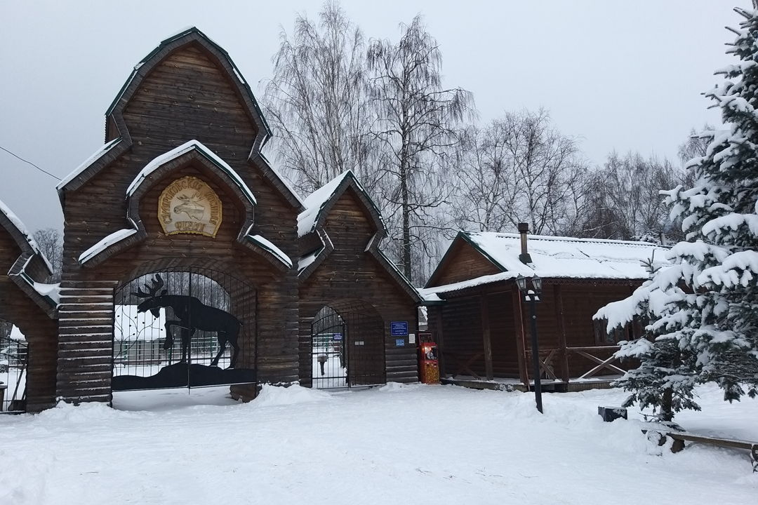 Сумароковская лосиная ферма: маленькие копыта, большие сердца — фото 6