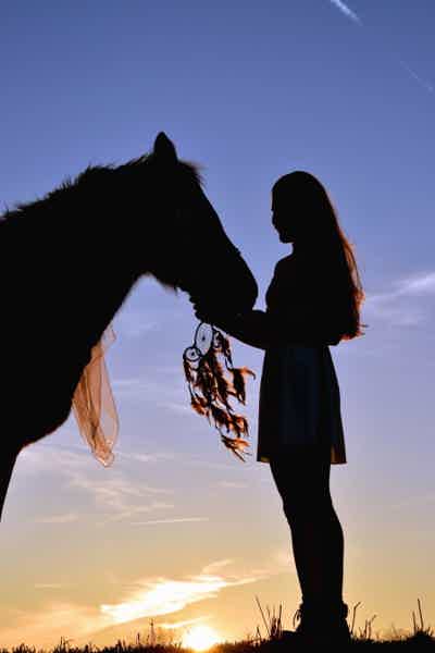 Прогулка на лошадях и общение с животными  - фото 2