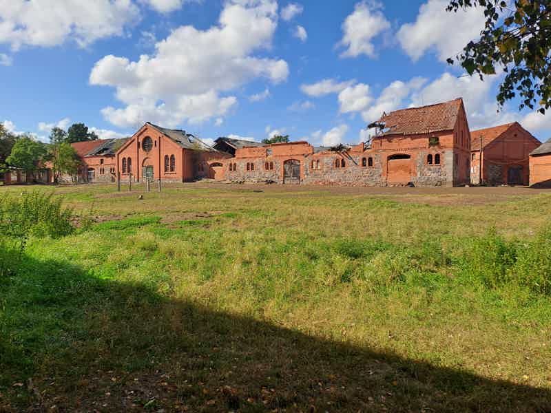 Таинственный восток Калининградской области  - фото 5