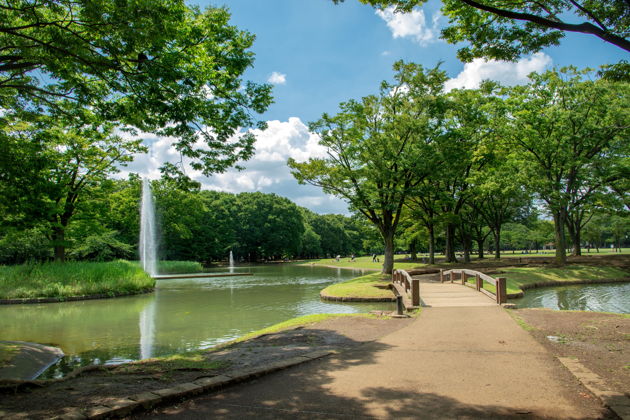 О Токио на языке контрастов - пешеходная экскурсия