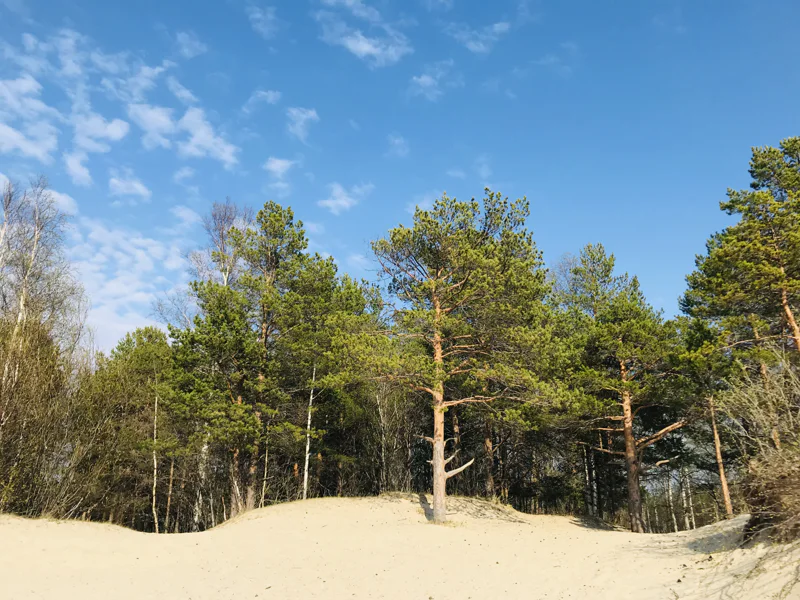 Экскурсия в город подлодок у Белого моря — Северодвинск — фото 5, Архангельск | Покатаем