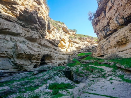 Салтинская теснина