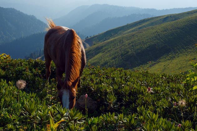 Виды Цветные озера Абуделаури