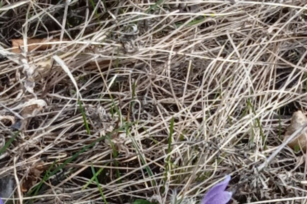 Виды «В горной долине — город любимый»