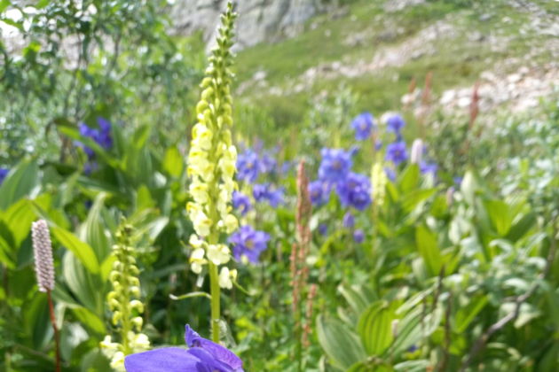 Виды Каракольские озера