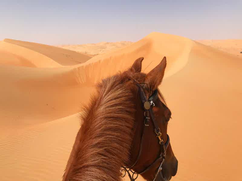 Верхом на скакуне: Конная прогулка в пустыне в мини группе  - фото 6