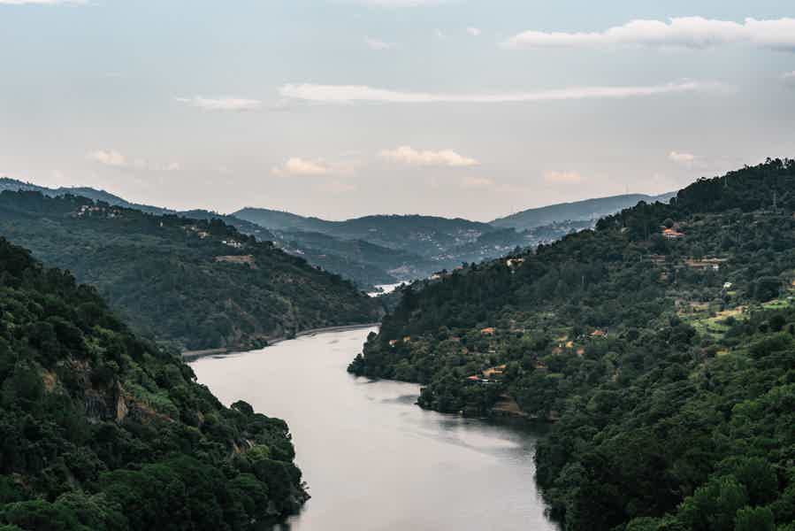 From Porto: Douro Valley Viewpoints and Wineries Day Trip - photo 5