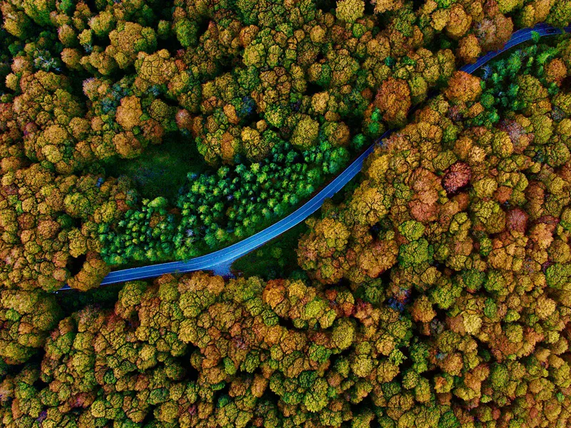 Magic Day in the Sabaduri Forest and Chronicles of Georgia — photo 6, Tbilisi | Pokataem