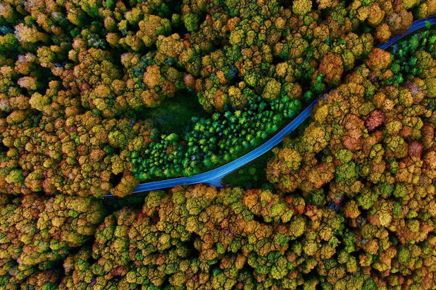 Виды Волшебный День в Лесу Сабадури и Хрониках Грузии