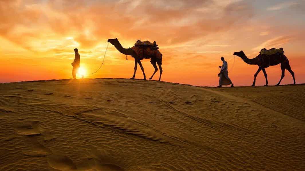 VIP сафари на верблюдах к Синайским горам - фото 3