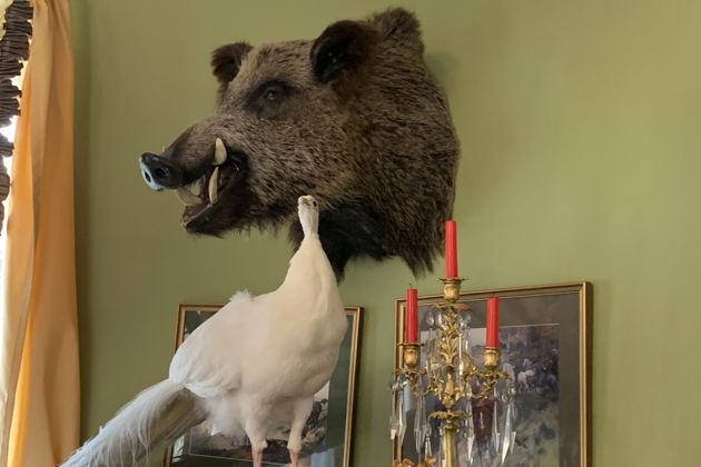 Виды Марьино в гости к Пиковой даме дворянская усадьба XIX век