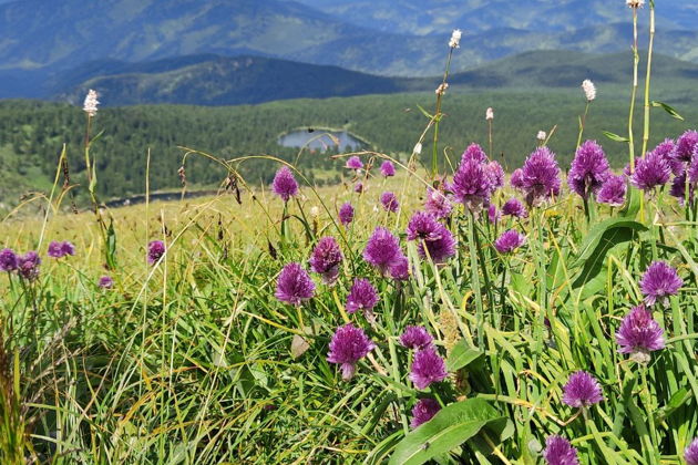 Виды Каракольские озера