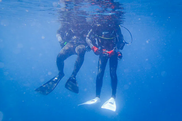 Дайвинг для начинающих в самом глубоком бассейне Deep Dive — экскурсия, Дубай | Покатаем