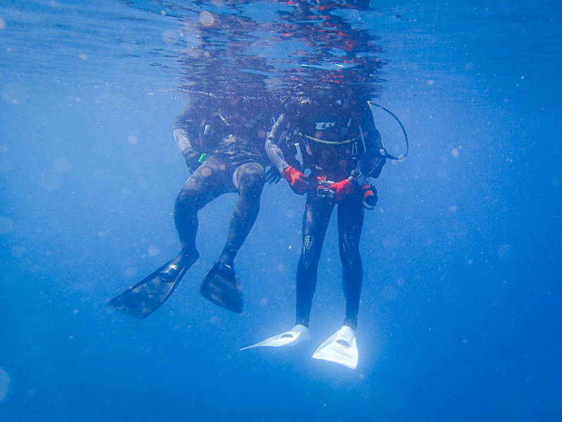 Дайвинг для начинающих в самом глубоком бассейне Deep Dive
