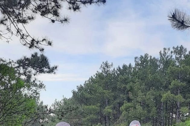 Виды По долинам и по взгорьям