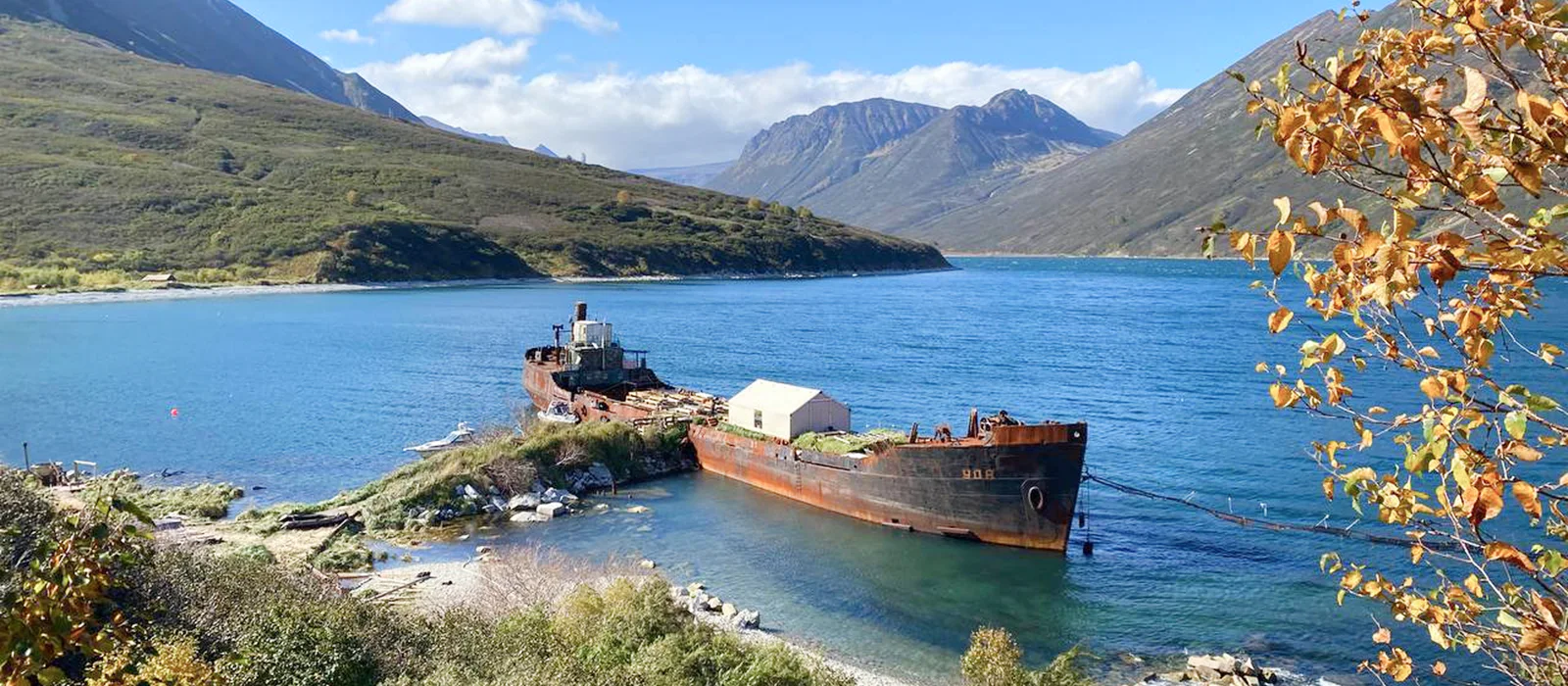 Морская прогулка в Бухту Русскую: высадка, рыбалка и крабовое сафари — экскурсия, Камчатка, Россия | Покатаем