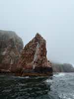 Экскурсия "Морское путешествие к островам Японского моря и котикам" - фото отзыва 1