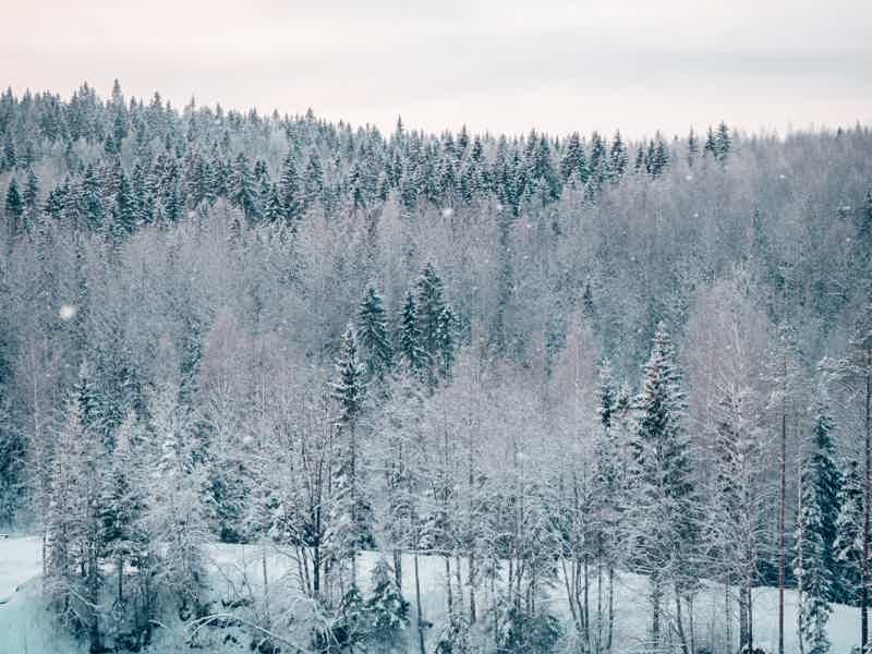 Зимняя Карелия: тур к Сямозеру - фото 1