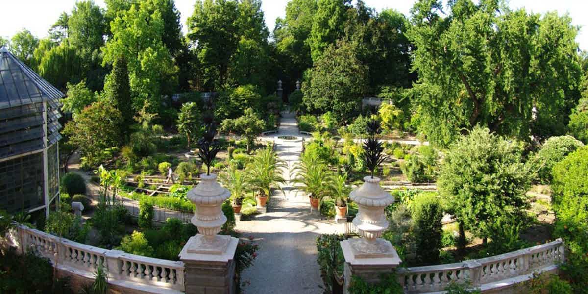 Ботанический сад Падуи + обзорная по городу - фото 1