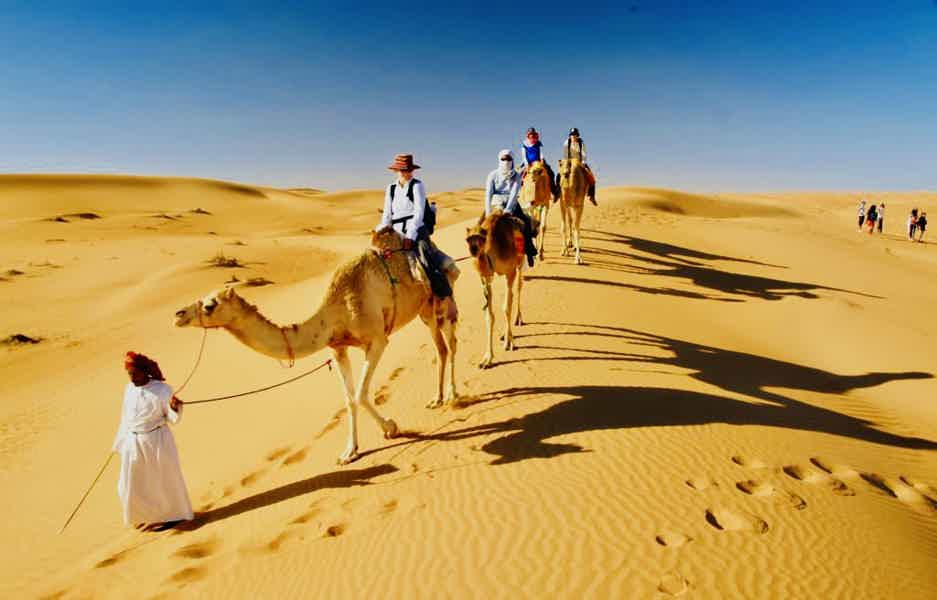 VIP сафари на верблюдах к Синайским горам - фото 2