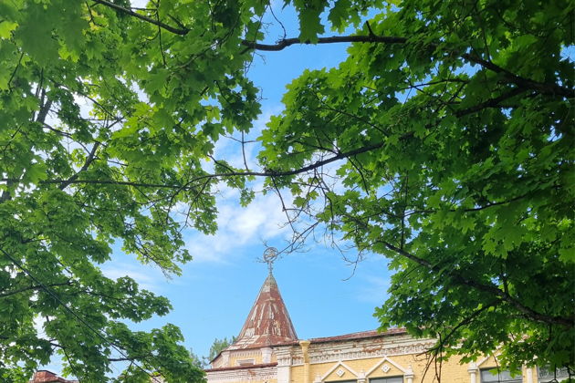 Виды Рыцари и витязи Царского Села: индивидуальный тур в Пушкине