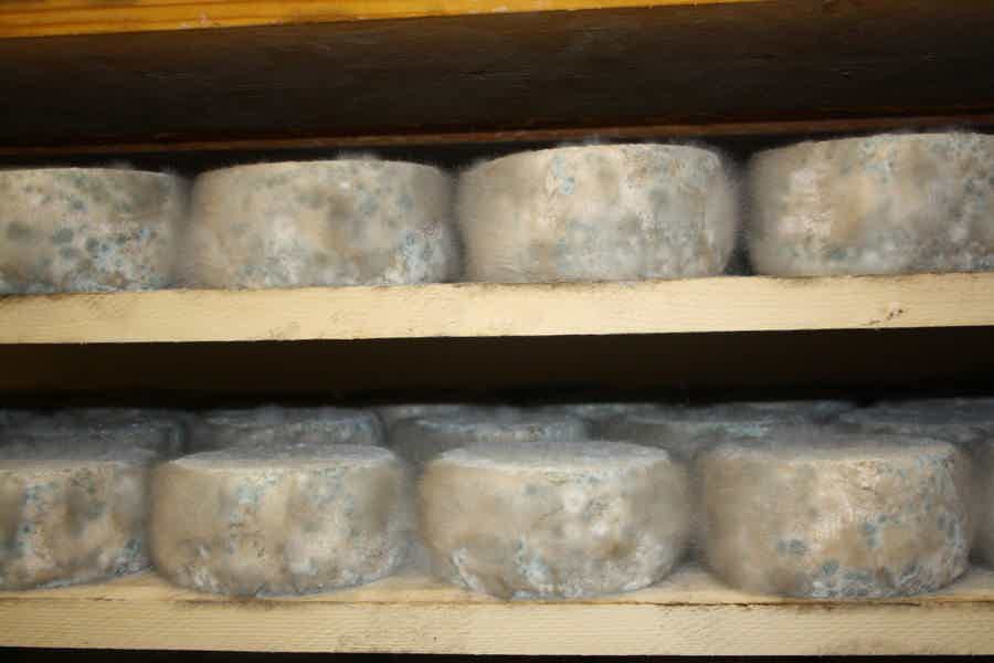 Дегустация сыров и визит на производство‏ - фото 1